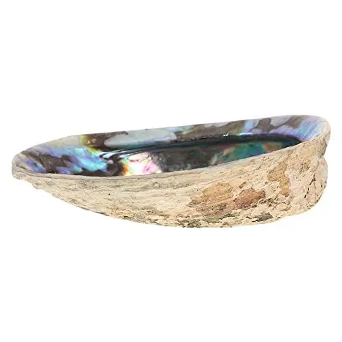 Produktbild: Gadpiparty Premium Natürliche Abalone-Muschel 5 Zoll Große Abalone-Muschel-Schüssel Abalone-Muschel Glänzend Natürliche Abalone-Muschel-Fleck-Schale DIY Abalone-Muschel Dekorativ Für