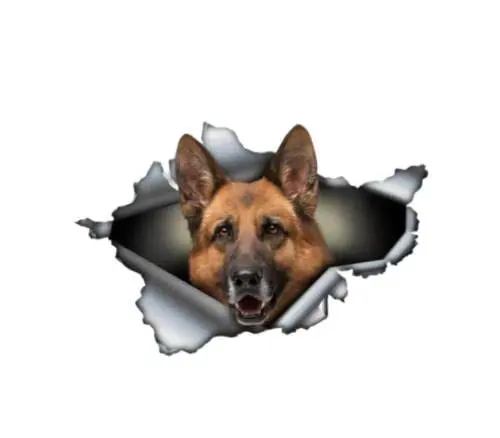 Produktbild: GAETOYEN Autoaufkleber Hund Personalisiert 21Cm（8.6 Inches） Autoaufkleber D Tier Happy Greyhound Dog Haustierzubehör Autofensterabdeckung Kratzer Wasserdichtes PVC(def1m9594)