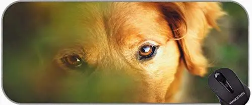 Produktbild: Gaming Mauspad Custom, Hot Dog Golden Retriever rutschfeste Gummi Basis Mousepad