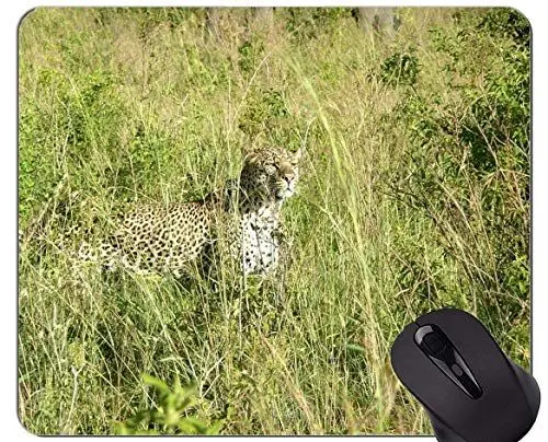 Produktbild: Gaming Mouse Pad Benutzerdefinierte, Leopard Cat Family Leopard Mauspads