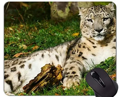 Produktbild: Gaming Mouse Pad Benutzerdefinierte, Tiere Leopard Mouse Pad mit genähten Rand