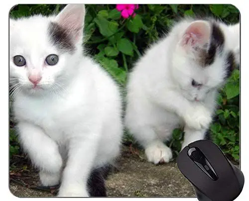Produktbild: Gaming Mouse Pad Benutzerdefinierte, niedliche Kätzchen Katze Home Office Computer Zubehör Mousepads