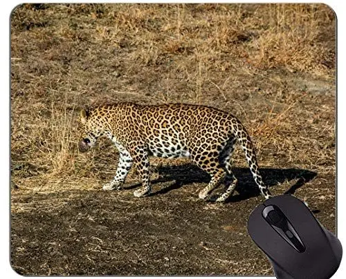 Produktbild: YENDOSTEEN Gaming Mouse Pad Custom, Leopard Leopard Mauspad mit aufgenähtem Rand