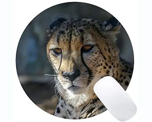 Produktbild: Gaming Runde Mauspad Benutzerdefinierte, Leopard Cat Family Leopard Runde Mauspads
