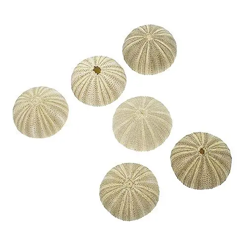 Produktbild: GANAZONO 6 Stück Verschiedene Natürliche Seeigel Für Luftpflanzen Künstliche Seeigel-Muscheln Als Dekor Gemischte Seeigel-Muscheln Dekorative Luftpflanze Für Die Heimdekoration