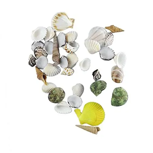 Produktbild: Garneck Muscheln 500 G Set Natürliche Und Lebendige Muscheln Für Die Dekoration Von Zuhause Und Hochzeiten