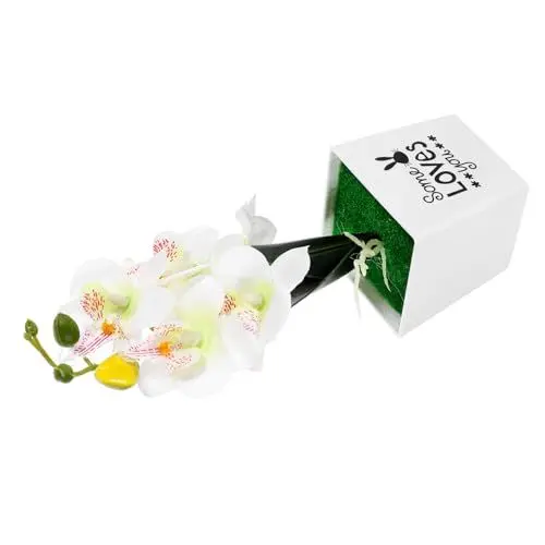 Produktbild: Garneck Künstlicher Spargel Topf-kunstblume Mini-künstliche Sukkulenten Künstliche Orchideenblüte Gefälschte Topfblume Künstliche Orchidee Mit Töpfen Dekor Glück Frucht Weiß Plastik Klein
