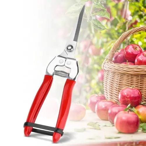 Produktbild: Gartenschere, Robuster Obstbaum Bonsai Gartenarbeit Gartenschere Gartenschere Gartenschere Zum Sammeln von Obst, Trauben, Zitrusfrüchten(Gerade)