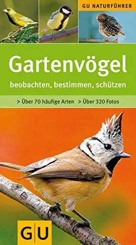 Produktbild: Gartenvögel: beobachten, bestimmen, schützen. ber 700 häufige Arten (GU Naturtitel)