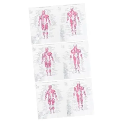 Produktbild: Gatuida 3 Stücke Kraft Papier Skelett Menschlichen Anatomie Poster Dekorative Studie Poster Für Bar
