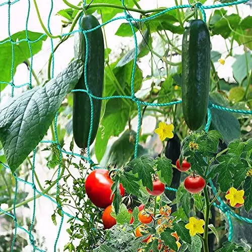 Produktbild: GDPLAN Ranknetz Gartennetze Kletternetz Großes Nylonnetz Rankhilfe Pflanzennetz Pflanzliche Kletterhilfen 2.5 x 2.0 Meter