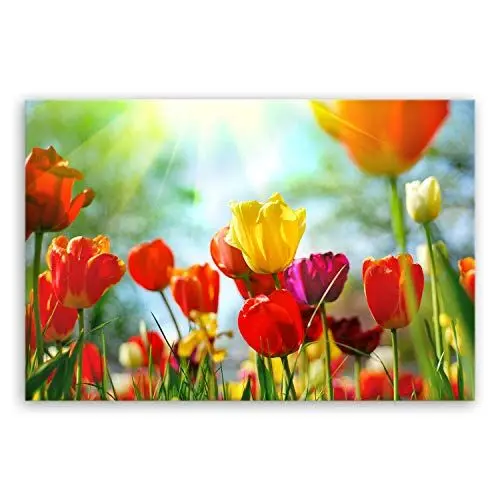 Produktbild: ge Bildet Bild auf Leinwand | Frühlings Tulpen in 30x20 cm als Wandbild | Wand-deko Dekoration Wohnung modern Bilder | 1311