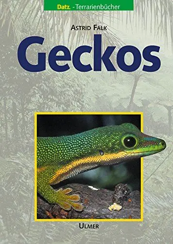 Produktbild: Geckos