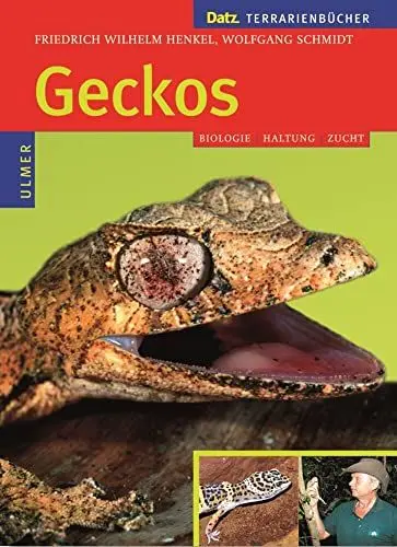 Produktbild: Geckos: Biologie, Haltung, Zucht (Datz Terrarienbücher)