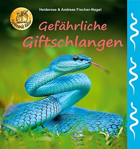 Produktbild: Gefährliche Giftschlangen