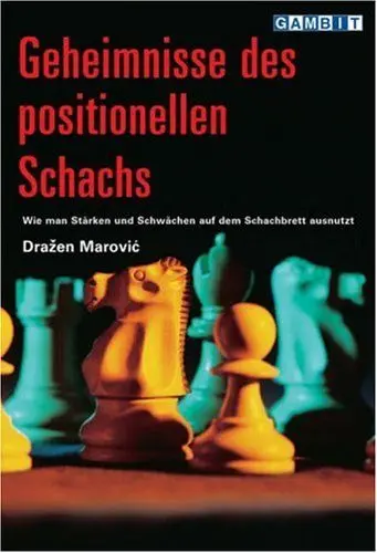 Produktbild: Geheimnisse des positionellen Schachs
