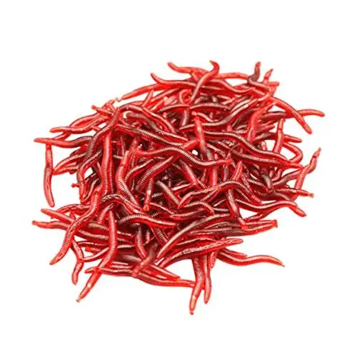 Produktbild: Generisch 150 Stück künstlicher Köder gummifische Worms fischköder fischen zubehör Forellenköder Gel Regenwürmer Bausatz moschusartig bionischer Wurm Fischroter Wurm Fisch lockt Fischwürmer