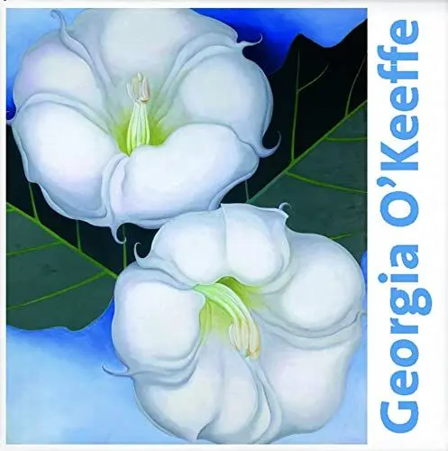 Produktbild: Georgia O'Keeffe: Leben und Werk