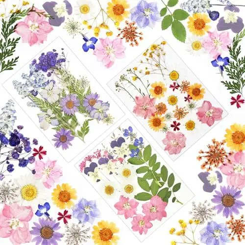Produktbild: WEHOOM Gepresste Blüten, 66 Stück Trockenblumen Gepresst, Natürliche Getrocknete Blumen Gepresst, DIY Gepresste Blumen, Getrocknete Blumen Deko Geeignet für DIY Kerzen Harzschmuck Nagelkunst