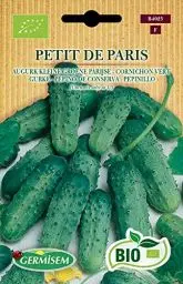 Produktbild: Germisem Gurke PETIT DE PARIS