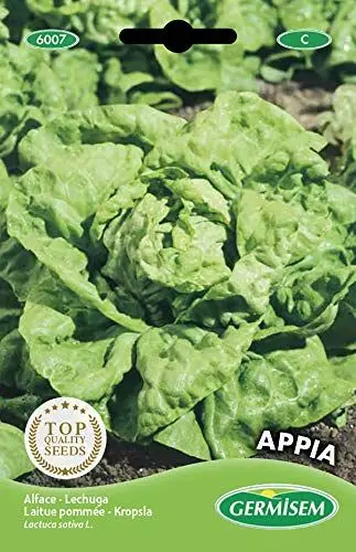 Produktbild: Germisem Kopfsalat APPIA, mehrfarbig, EC6007