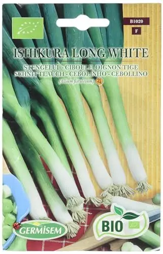 Produktbild: Germisem Schnittlauch ISHIKURA LONG WHITE ECBIO1020