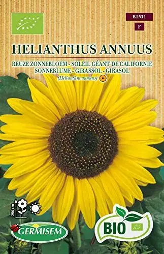Produktbild: Germisem Sonneblume HELIANTHUS ANNUUS, ECBIO1531