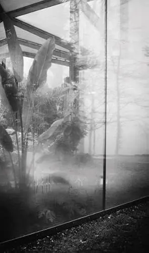 Produktbild: Gestaltwandel. Schauhaus Botanischer Garten Grüningen