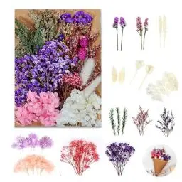 Produktbild: Getrocknete Blumen, Trockenblumen zum Basteln Gepresste Blüten Natürliche Schleierkraut Getrocknet Klein Getrockneten Gemischte Deko für DIY Kunst Scrapbooking (Violett)