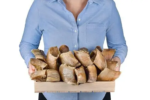 Produktbild: XXXXXGetrocknete Kalbshufe für Hunde (20 stück (1er Pack)): Fettarmer, Nachhaltiger Kausnack - Ideal für Zahnpflege und Gesundheit