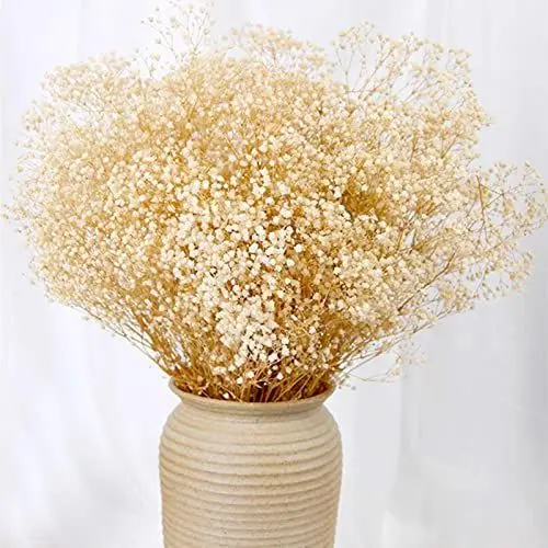 Produktbild: Getrocknetes Schleierkraut-Blumenstrauß - 2000+ elfenbeinweiße Trockenblumen, 43 cm natürliche Gypsophila-Zweige für Hochzeit, Tischvasendekor, DIY-Kranzfloristik, Heim-, Büro-, Party- und Gartendekor