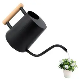 Produktbild: Gießkanne 1L,Giesskanne Zimmerpflanzen Klein Indoor,Giesskanne mit langem Auslauf und komfortablem Holzgriff,Edelstahl Gieskanne Schwarz für Topfpflanzen Sukkulenten,Metall Gartengießkanne für innen
