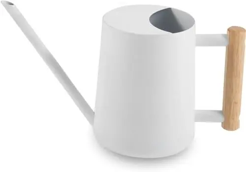 Produktbild: Gießkanne Zimmerpflanzen, 1000ml Metall Edelstahl Gießkanne Kleine Moderne Bewässerung Topf mit langem Auslauf für Zimmerpflanzen Bonsai Outdoor Garten Blume Deko (Weiß)