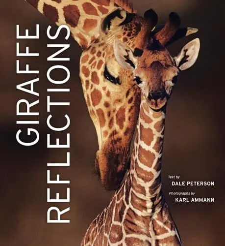 Produktbild: Giraffe Reflections