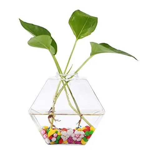 Produktbild: Glas-Pflanzgefäß Zum Aufhängen an der Wand, Hängepflanzen, Terrarien, Zimmerpflanzen, Halter, Hydrokultur-Blumen, Vase, Aquarium, Behälter, Heimdekoration (Hexagon)