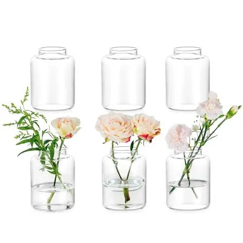 Produktbild: Glasseam Glas Vasen Set für Home: 6er Vase Klein für Haus Wohnzimmer Schlafzimmer Küche Esszimmer Tischdeko - Klar Blumenvase Modern Glasvasen Set für Hochzeit Tafelaufsätze Party Deko