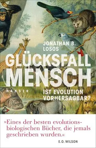 Produktbild: Glücksfall Mensch: Ist Evolution vorhersagbar?