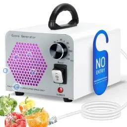Produktbild: GMGXX 2 In 1 Ozongenerator 60000mg/H, Ozongerät Ozon Luftreiniger mit Wasser und Luft Modus, O3 Geruchsneutralisierer Ozone Generator mit 120 Min Timer, Ozonator für Auto Wohnung Obst Gemüse