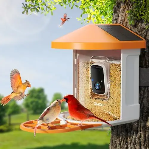 Produktbild: GNCC Vogelhaus mit Kamera Vogelfutterstation mit 1080P Kamera Vögel Bewegungserkennung und Videos Aufnahmen, Kabellose Vogelkamera Vogelliebhaber