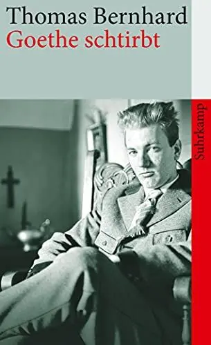 Produktbild: Goethe schtirbt: Erzählungen (suhrkamp taschenbuch)