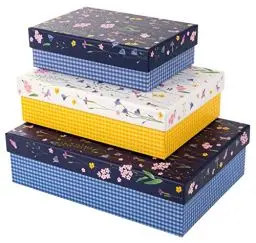 Produktbild: goldbuch 85 154 Kartonagen-Set Meadow Miracles, 3 Boxen, Maße GroßeBox 18,5 x 26 x 7,5c m, MittlereBox 15,5 x 22 x 6,5cm, KleineBox 12,5 x 18x 5,5 cm, Geschenkkartonagen Set Motiv Blumen