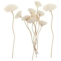 Produktbild: GOOHOCHY 10st Ätherische Ölstäbchen Blumen-diffusor-Sticks Duftstäbchen Für Getrocknete Blüten Diffusorstäbe Für Künstliche Blumen Stiftminen Schilfrohrstäbe Schmücken Ätherisches Öl Rattan