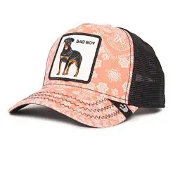 Produktbild: Goorin Bros. Unisex The Farm Collection Trucker-Kappe, verstellbar, Netzstoff Baseballkappe, Rosa Paisley (Lovesexy), One Size