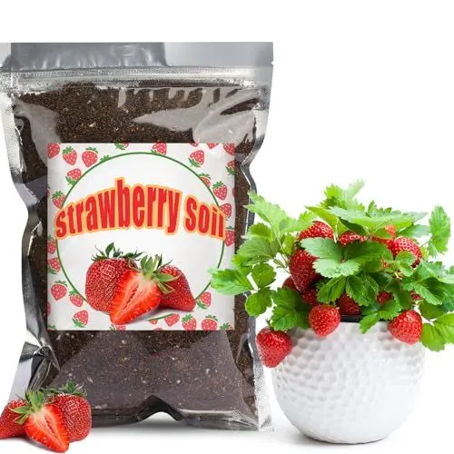 Produktbild: GOTVUGE Bio-Erdbeer-Erde Mischung 10L, Zimmerpflanzen-Blumenerde für alle getopften Erdbeerpflanzen, Gesunde Zimmerpflanzen drinnen züchten
