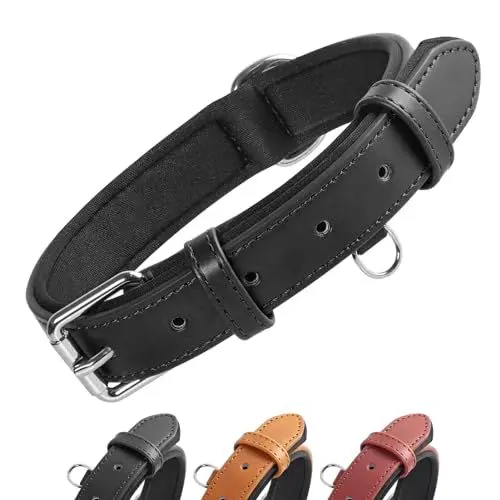 Produktbild: Grand Line Leder Hundehalsband, Lederhalsband Hund mit Weichem Gepolstertes, Breiter und Dicker Hundehalsband, Verstellbares Halsband Hunde für Kleine, Mittlere, Große Hunde (Schwarz, M)