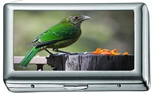 Produktbild: Grauer Steinhaufen in der Nähe von Bäumen 71541 Zigarettenetui / -schachtel Visitenkartenetui Edelstahlgehäuse Silber Metall Brieftaschenschutz