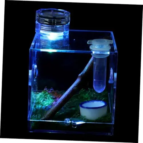 Produktbild: GREENADSCAPE Kasten Springspinnen-zuchtbox Bausatz Schneckenlebensraum Springender Spinnenkäfig Tarantel Haustierzaun Lebensraumkäfig Für Schnecken Spinnenträger Großes Terrarium Acryl