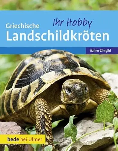 Produktbild: Griechische Landschildkröten