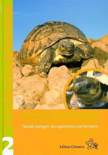 Produktbild: Griechische Landschildkröte (Testudo hermanni): Dalmatinische und italienische Landschildkröte. Testudo boettgeri, hercegovinensis und hermanni. Mit e. Vorw. v. Andreas Nöllert