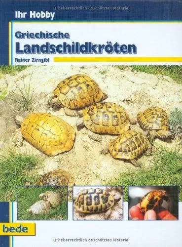 Produktbild: Griechische Landschildkröten, Ihr Hobby